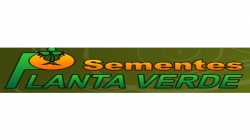 Sementes Planta Verde